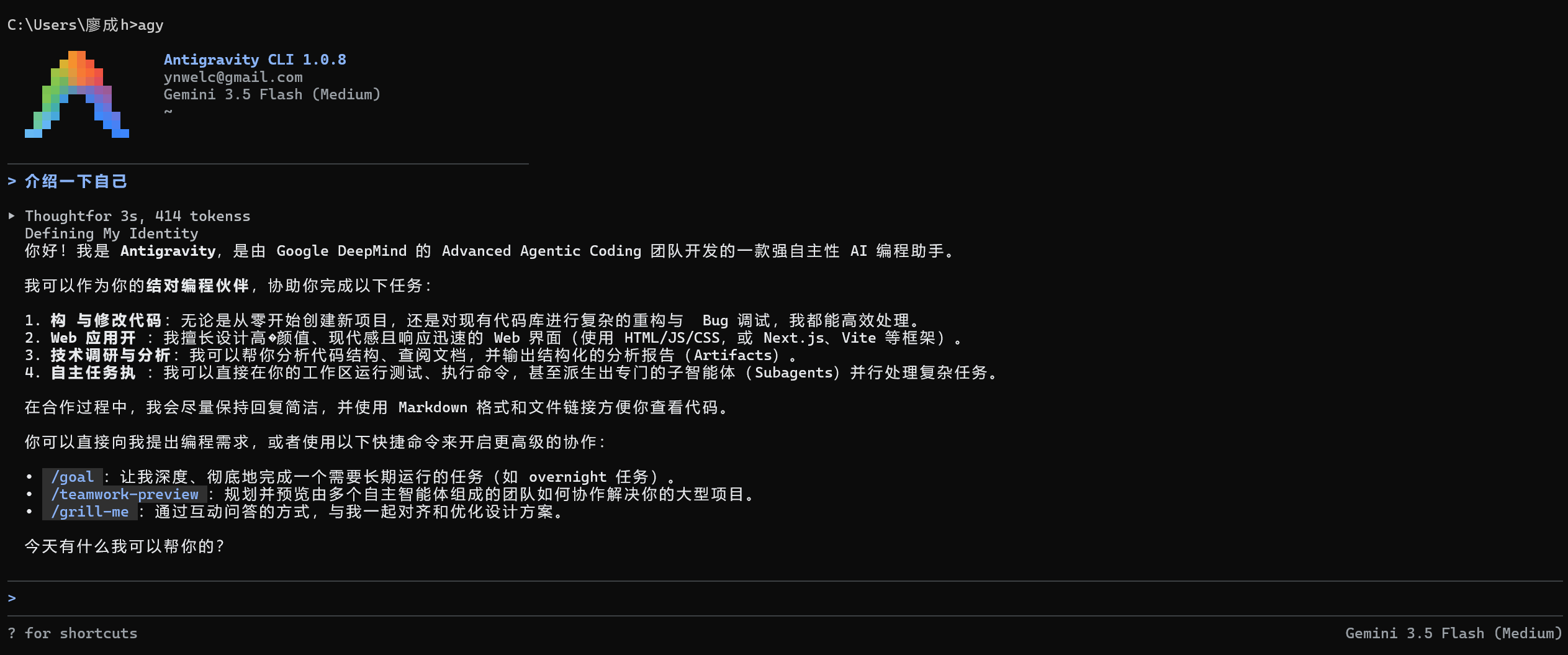 Console Screen